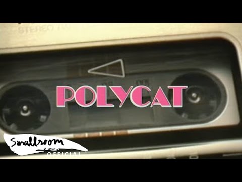 POLYCAT - Chapter 3 พบกันใหม่ ? | So Long [Official MV]