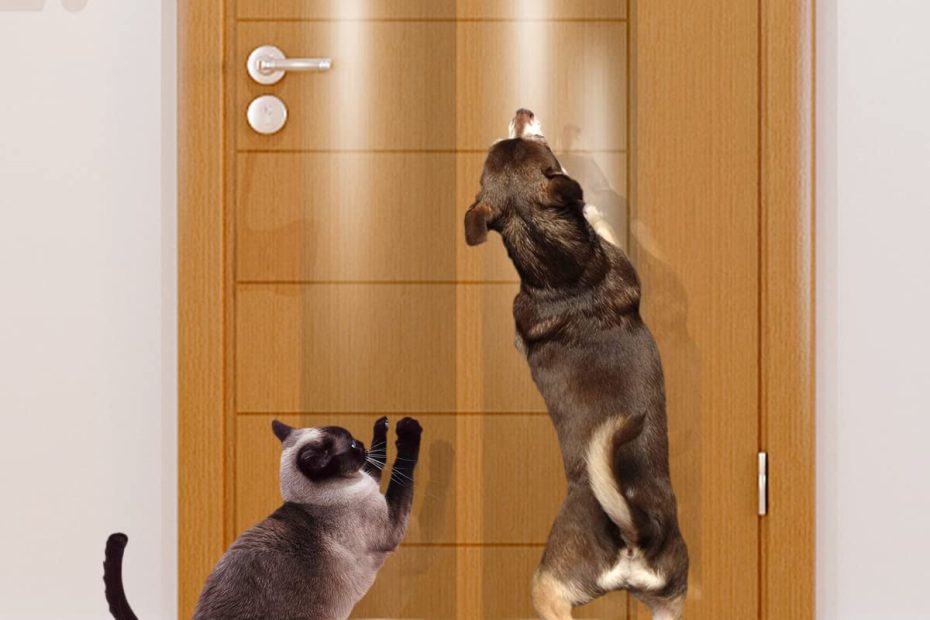 Amazon.Com : Door Scratch Protector, Protect Your Door, Furniture And Wall  With Clear Premium Heavy Duty Door Cover Scratch Shield, Large Vinyl Door  Guard For Dog Scratching : Pet Supplies