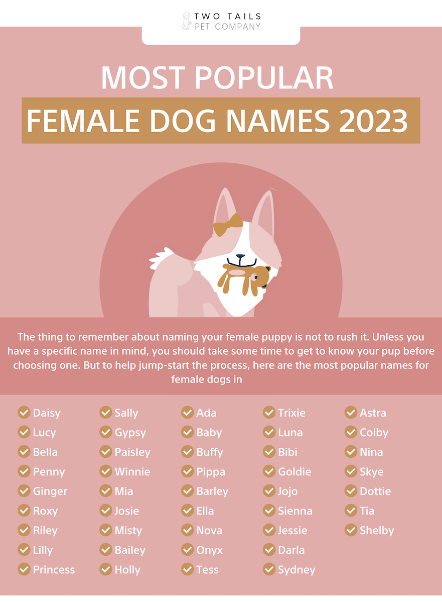 What Is A Good Girl Dog Name? Top 20 Picks For Your Pup