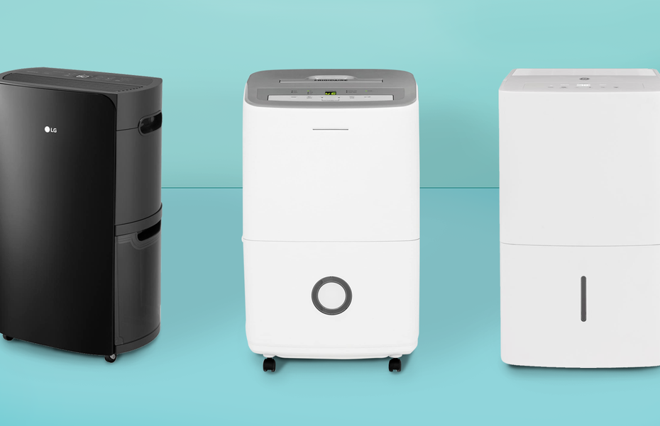 5 Best Dehumidifiers Of 2023, Tested By Experts