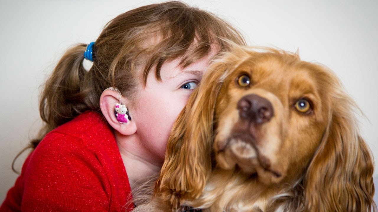 My Deaf Child And Her Hearing Dog - Youtube