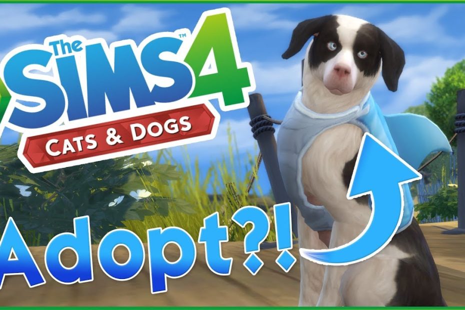 Adopting Our First Stray Dog?! 🐱🐶 Sims 4: Cats & Dogs First Look - Youtube