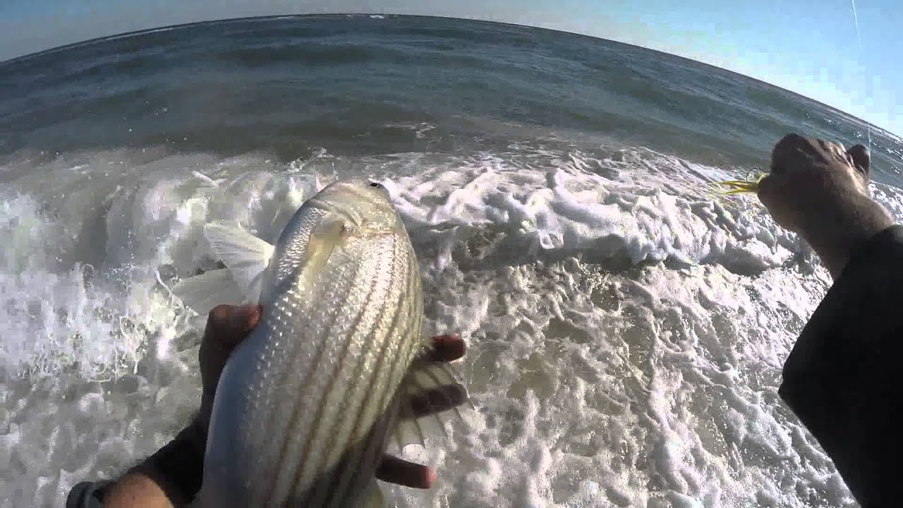 Jones Beach West End Striped Bass Surf Fishing Report - Youtube