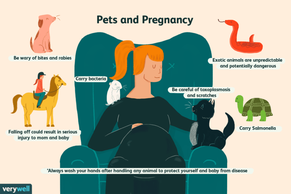 Pets And Pregnancy: Safety And Tips