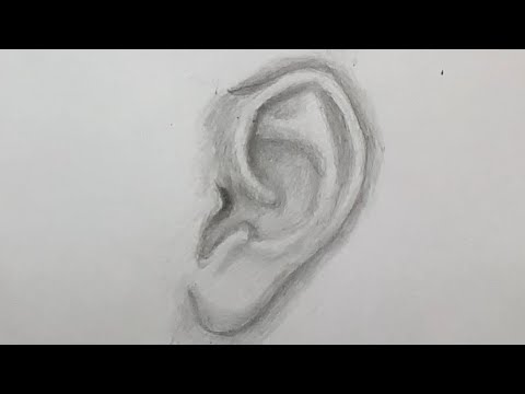 How to draw Ear การวาดหู l MBH