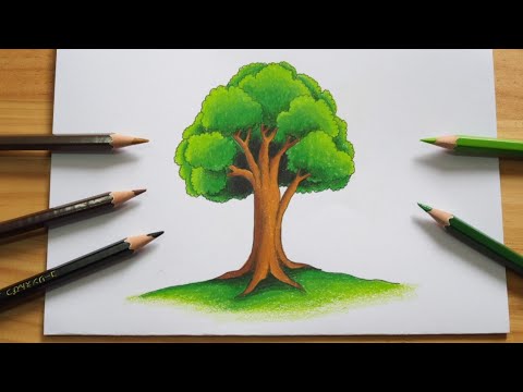 มาฝึกวาดรูปต้นไม้แบบใหม่ๆกันค่ะ 🌳 วาดภาพต้นไม้ง่ายๆ || How To Draw Tree