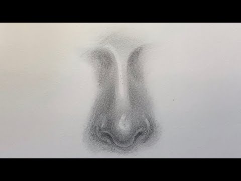 การวาดจมูก How To Draw a Nose I MBH