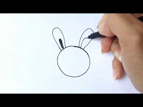 วาดรูปการ์ตูนหัวกลม (กระต่ายกับเต่า) วาดง่ายมากๆ